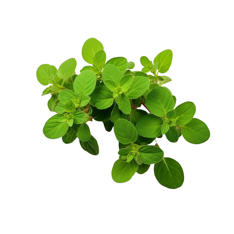 TANKOU – Mix Herbes